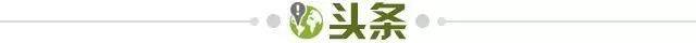 开云官网-【早报】斯特林：踢单刀韦尔纳最像我...